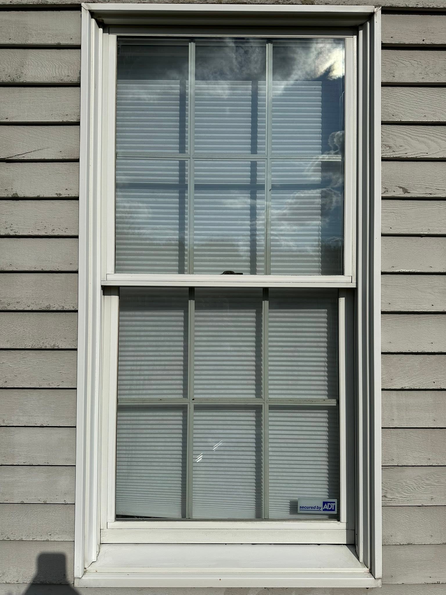Window from the company project portfolio